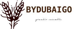 bydubaigo.com